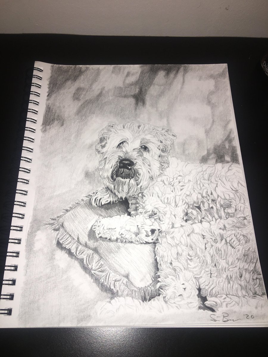 sbrewer55's tweet photo. If you are wanting a personal drawing of a pet, family member, house, etc. I do good quality drawings for very affordable prices. Here is some of the commissioned artwork I've already done. If you want to look through more go to my art pages... links in my bio! https://t.co/RHpoIA6CJX