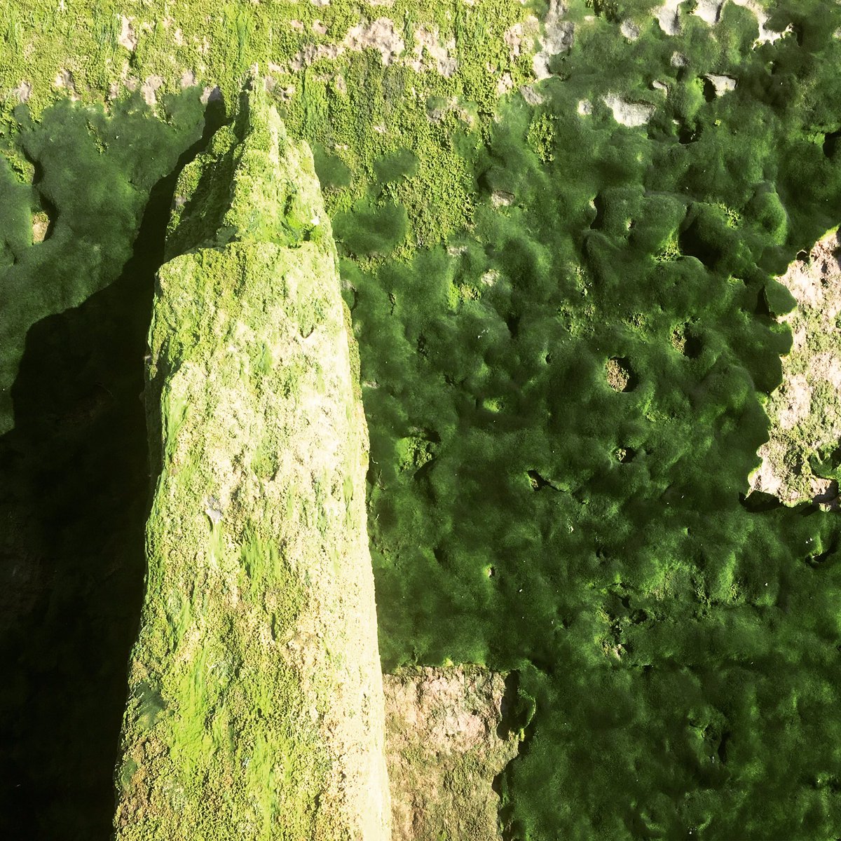 maria_mant tweet media