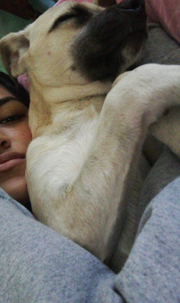 Melwbs's tweet photo. Espero que estés feliz donde estés mi vida, te amo y te extraño mucho. https://t.co/IZpMaggJ2U