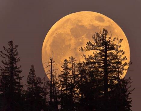 RoperMountain's tweet photo. The next full moon will be tomorrow at 6:45 a.m., and is called the Flower Moon to signify the flowers that bloom during this month. This is the last full moon supermoon of 2020 so make sure to get outside tonight and take a long look!
#YeahTHATGrenville
#RoperMountain https://t.co/bgbyrmi7rv