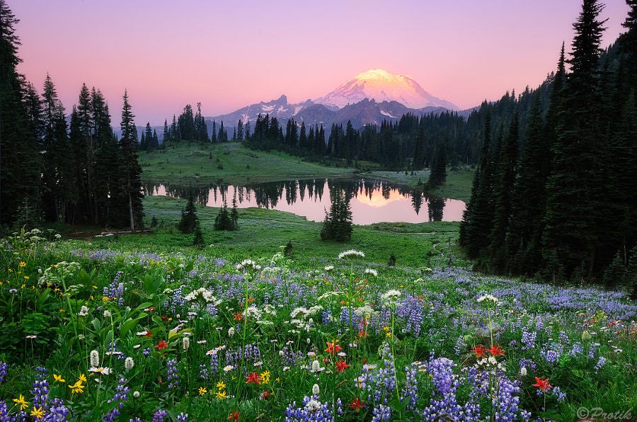 Iohlita's tweet photo. Mount Rainier, Washington https://t.co/s09G6eFs3l
