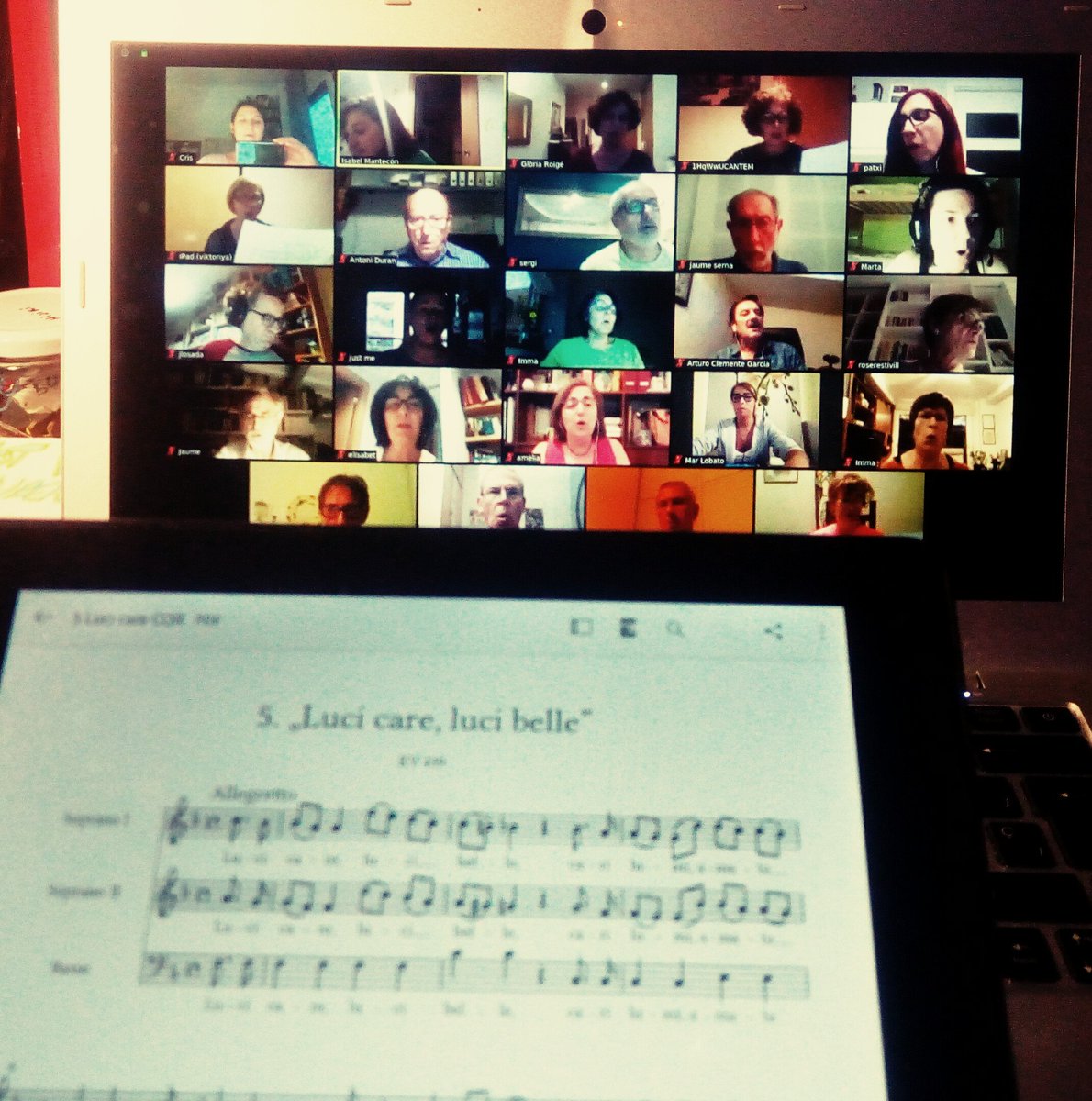 CoralCrescendo tweet picture
