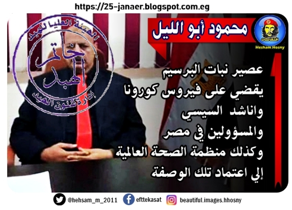 منح محمود ابو الليل خاتم الهبد الاصلى من الهيئة العليا للهبد مع شهادة تقدير خاصة لحزب مصر الحرة