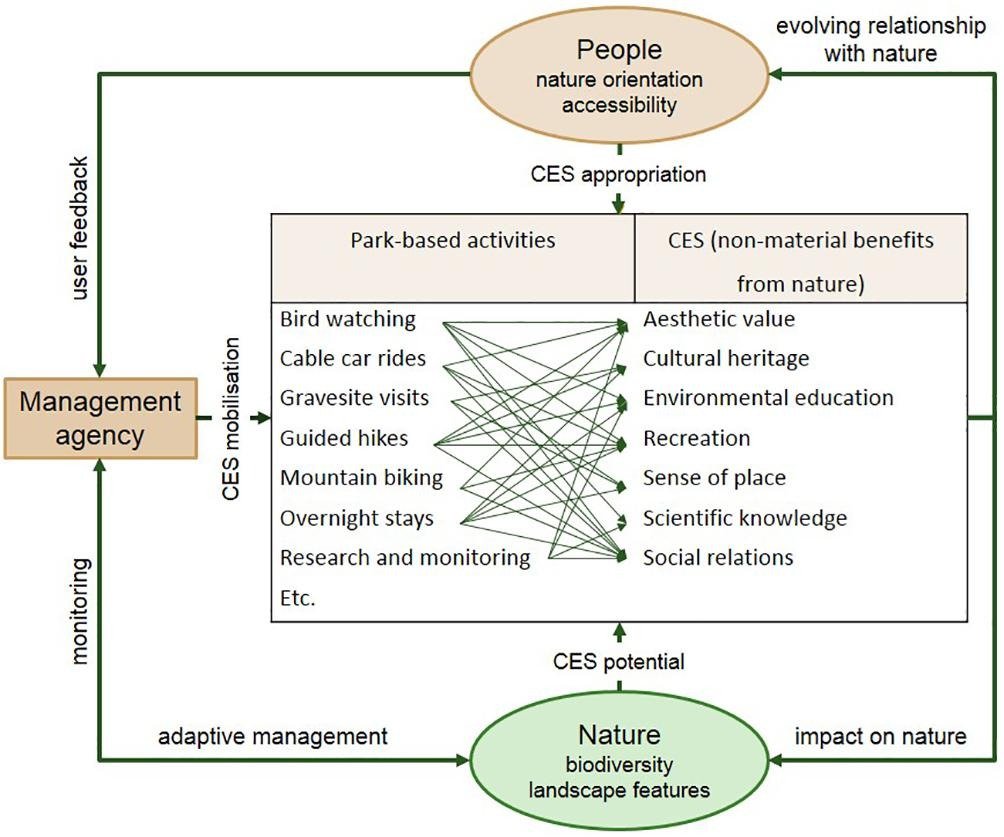 KyleSmith00's tweet photo. Cultural ecosystem services are products of complex interactions between people and nature, mediated and influenced by activities provided by park management. Our latest work now out in #EcosystemServices @ELSenviron @nandimgwa https://t.co/nCFvOECa0R https://t.co/OzcqTmFvVk