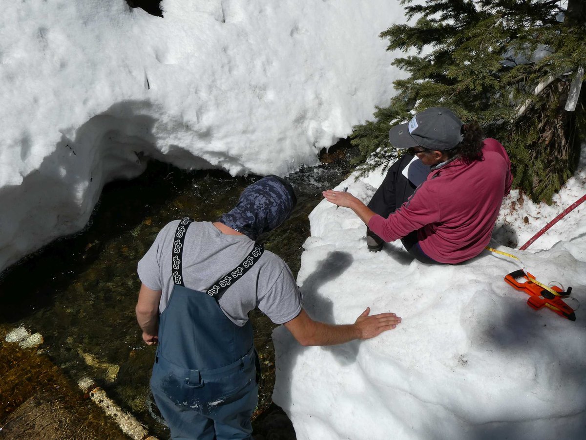 FLCwater's tweet photo. Spring runoff is happening and we are measuring it...while maintaining appropriate physical distance! @FLCDurango ‘s @professor_gigi and very recent FLC engineering grad (congratulations David!) In Sen Beck Basin #hydrology #COwater #sciencematters #COriver #snowiswater https://t.co/uiEhy3AyUn
