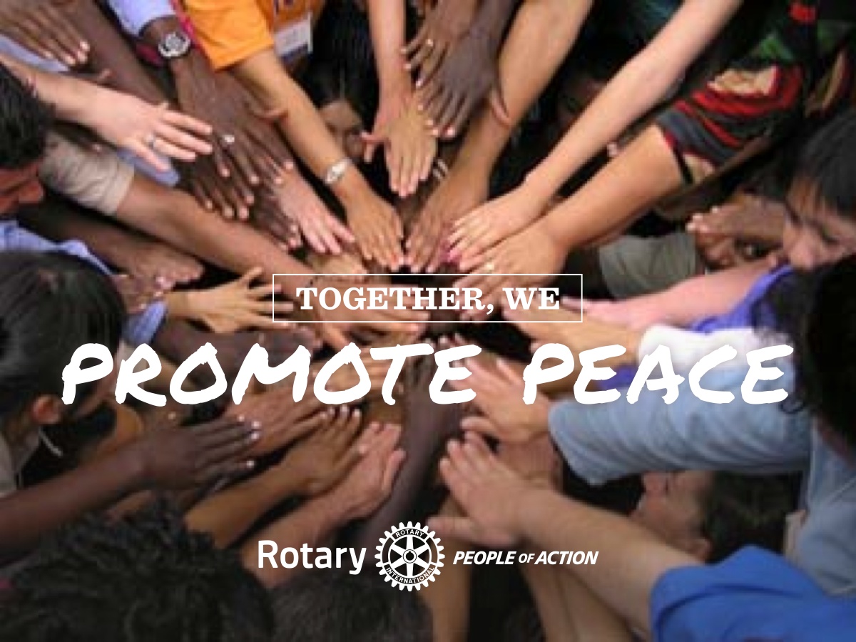 Rotary5040 tweet media