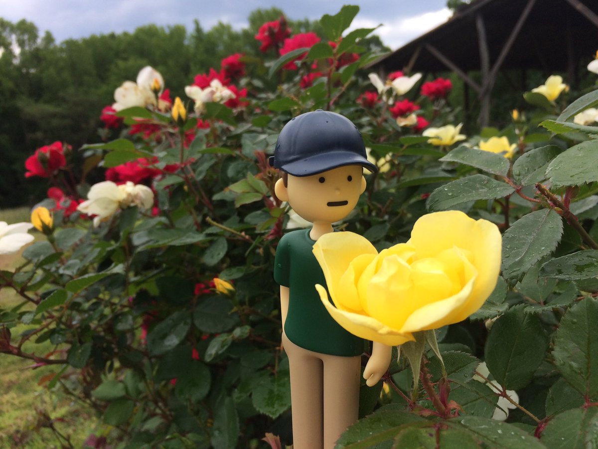 The yellow roses smell the best. Just like real Namjoon, Tiny Joon tries to look at flowers and the sky every day.