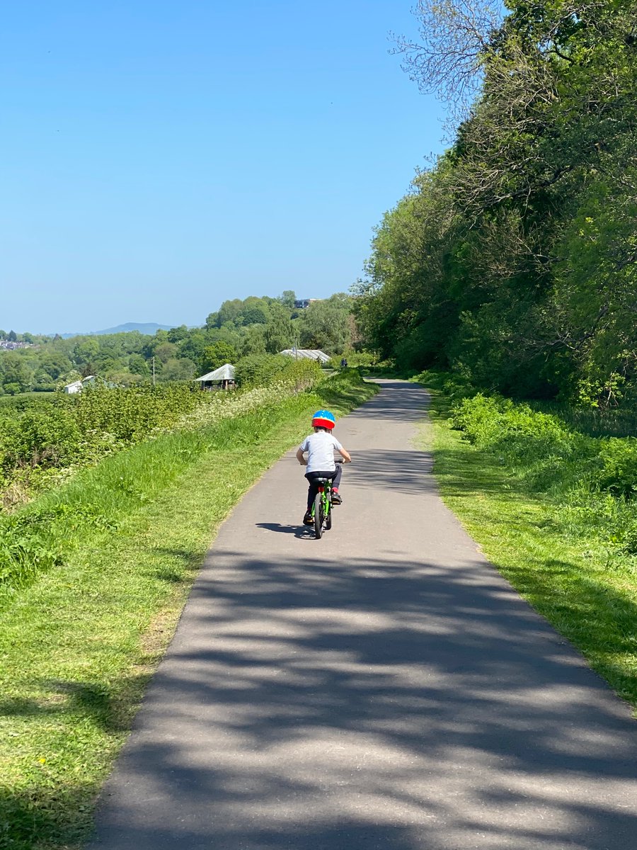 Dubai dally tweet media