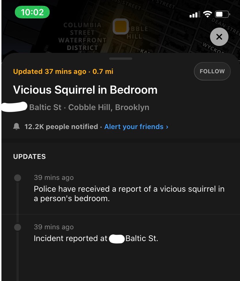 elctwit's tweet photo. Are Murder Squirrels going to be a thing now? #Brooklyn @CitizenAppNYC https://t.co/0EhZMt5Ui8