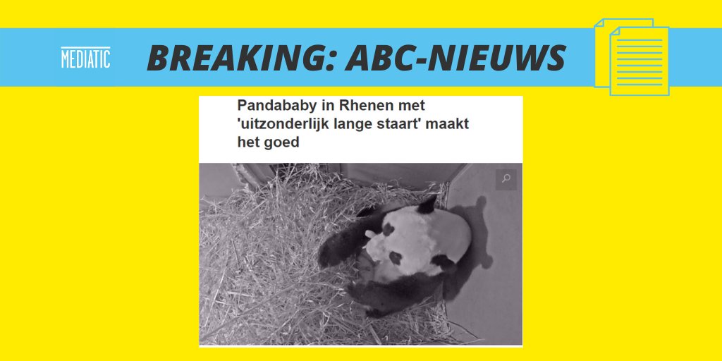 MediaticPR's tweet photo. Vandaag in het #AllesBehalveCorona nieuws: het gaat goed met pandababy Wu Wen. Haar gelijknamige moeder en vader Xing Ya kunnen hun geluk niet op. https://t.co/QQpeRW5crJ #ABCnieuws #panda #wuwen https://t.co/uD7zA9xg3y