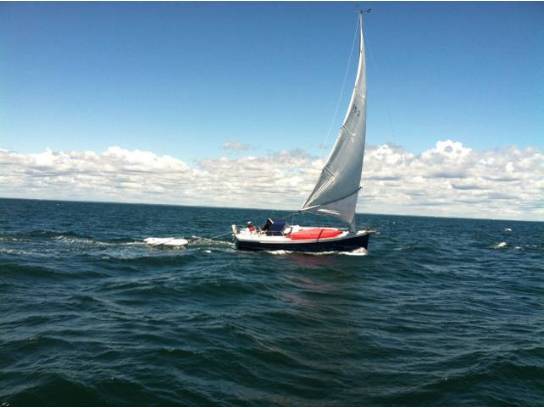 High Hopes TR tweet media