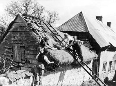 leefer3's tweet photo. 1920

#RoofThatching on a house nr Salisbury

100 yrs on and not much has changed in the #Thatching world. https://t.co/5rU6ziI4Ag