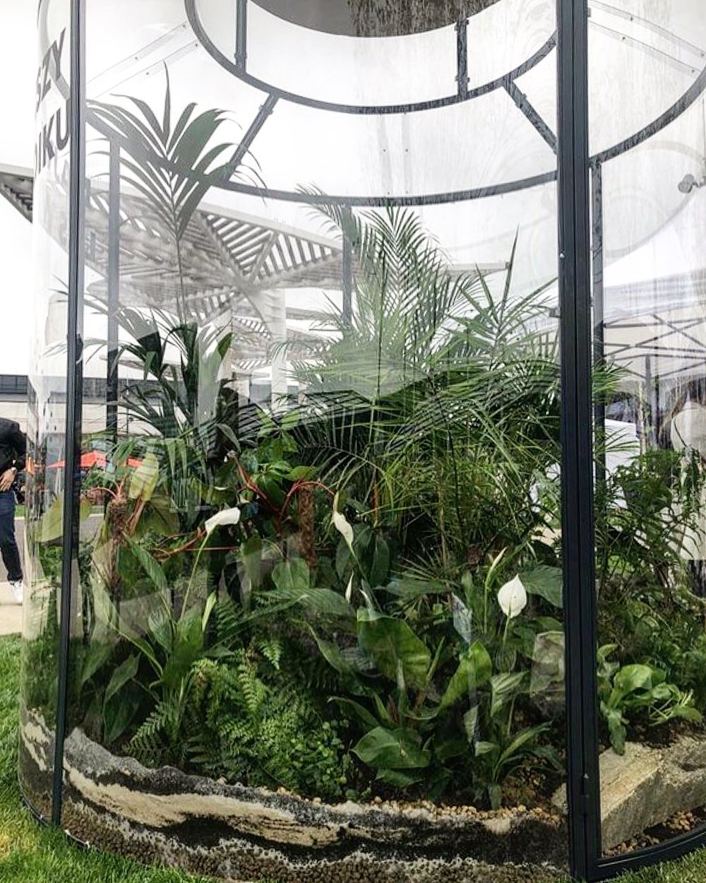 Guinness World Records LatAm on X: "🌱☘️🌿La galeria Polnocna rompió el  título de #GWR por el #terrario más grande en un jarrón en 2019. Contó con  un peso de 1.018,20 kg (2.244,74