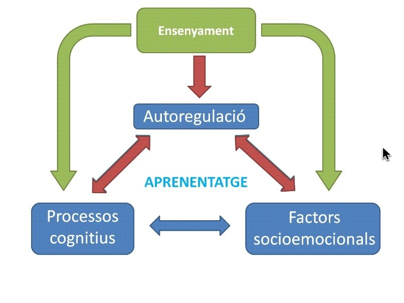 nsabate4's tweet photo. Tercer i últim webinar del curs #ComAprenem de la mà d' @hruizmartin
Una formació que ha valgut la pena😃 Molts aprenentatges i reflexions sobre la pràctica docent partint d'una base científica de com els éssers humans aprenem 🔝🔝🔝 https://t.co/xVWmTxvrw8
