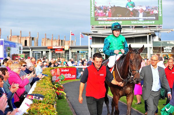 A sad day in Cullentra as we lost last year's Galway Plate winner Borice due to colic today. Our thoughts go out to his owners @simon_munir and <a href="/isouede/">isaac souede</a> and also his groom <a href="/D_A_Treacy/">Darren Treacy</a>