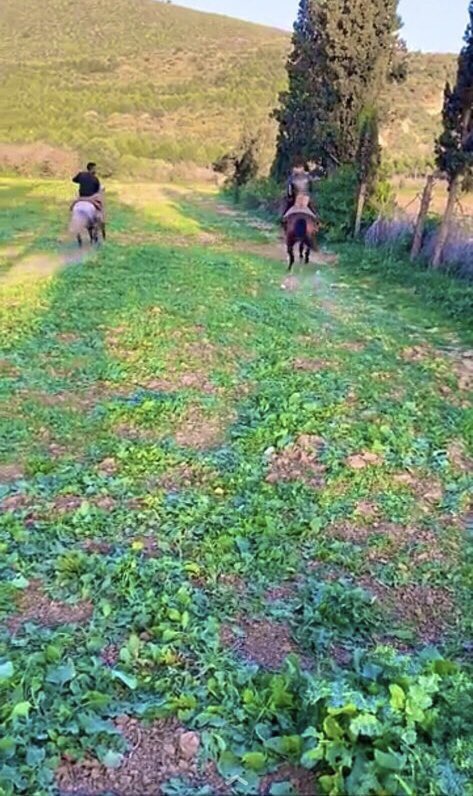 Si_Abdelkader's tweet photo. توحشت بلدي الجزائر والخيول 🇩🇿🇩🇿💪
 #الجزائر 
#محمد_سي_عبد_القادر 
#Algeria 
#algerie 
#تلمسان
#ابقوا_في_منازلكم
#StayHome #StayAtHome https://t.co/Ct8zfb2gyl