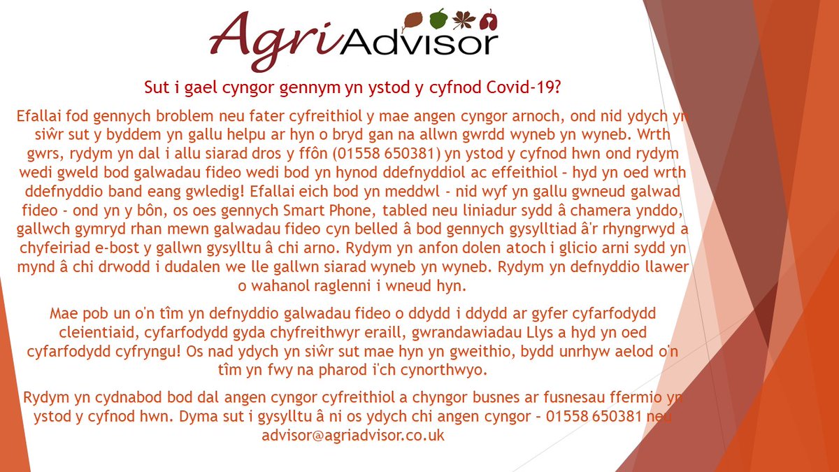 Sut i gael cyngor gennym yn ystod y cyfnod Covid-19?