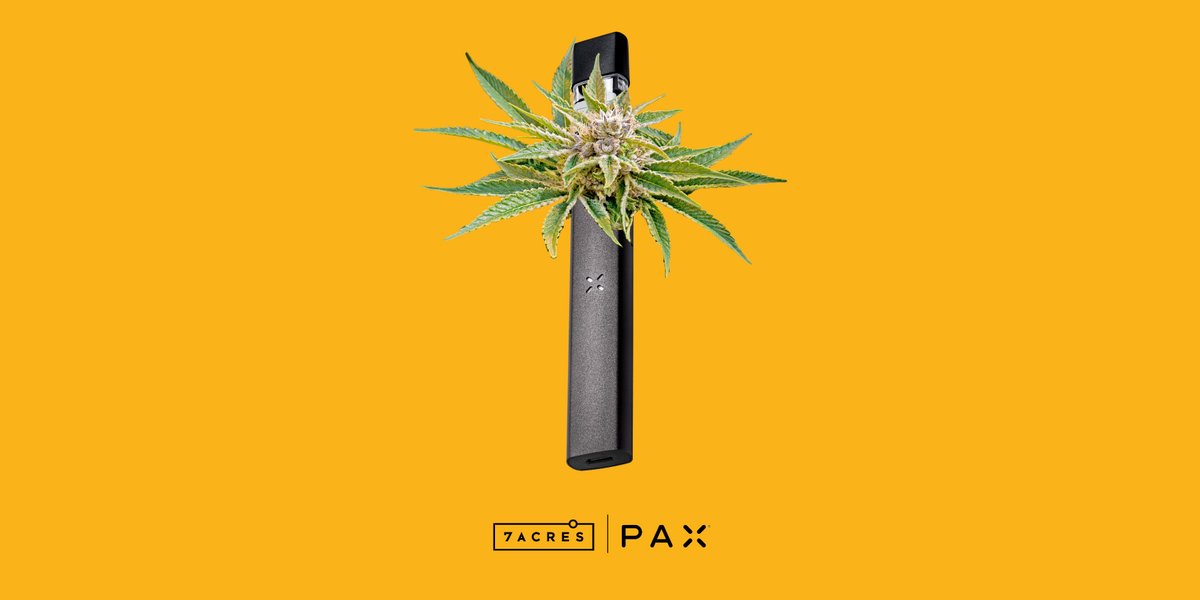 7ACRESmj's tweet photo. 7ACRES @PAXvapor Pods are now available in #NovaScotia. Coming soon to the rest of Canada. Head over to https://t.co/2uz5KeZDKa to learn more. 

#RespectThePlant #PAXLife #SeshToGo #cannabis https://t.co/0wdy7RKEpZ