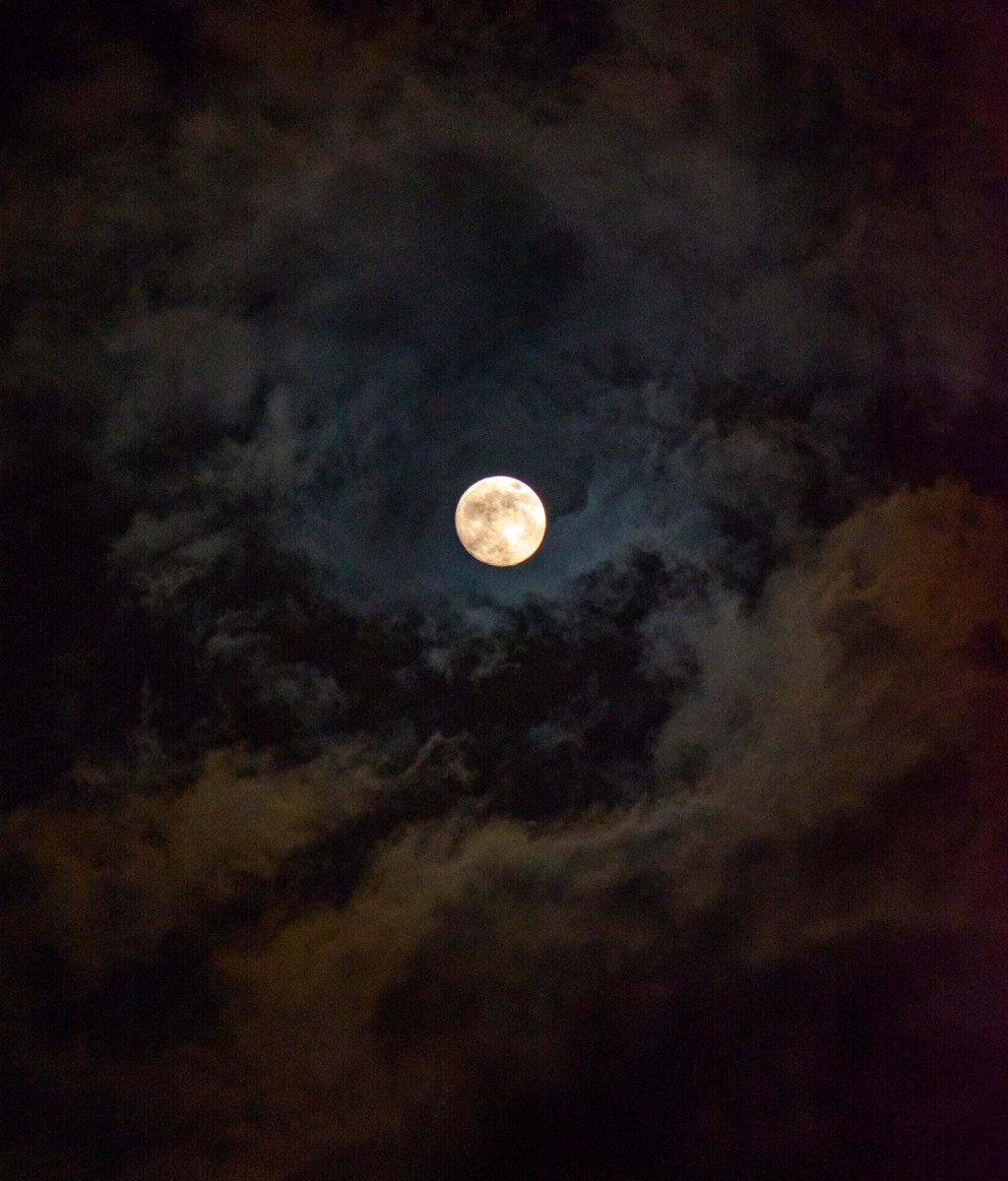 Carolina 🫀 (@cyanezzz) on Twitter photo 