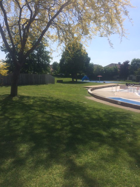 greenbank_pool's tweet photo. Greenbank Pool trees today looking glorious in the sunshine.  As you can see we are working hard to prepare and maintain the grounds and the pool.  However, we are still awaiting Government guidance on when and how we can reopen. Thank you all for wonderful words of support. https://t.co/nY6WbSMY7m