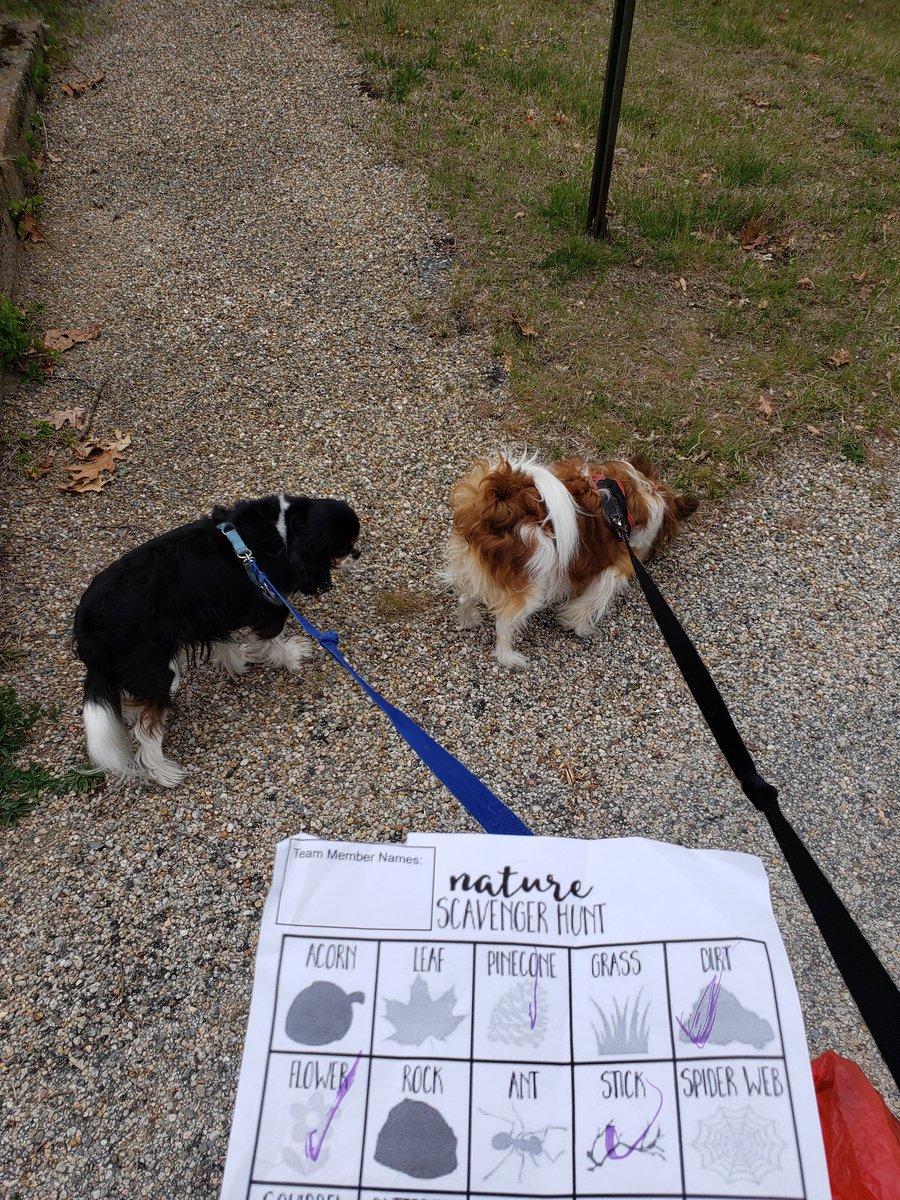 Amandamarie789's tweet photo. Nature walk with my babies. They are not the most helpful scavenger hunt team members. #epwellnesswednesday https://t.co/GTrN1Uc13J