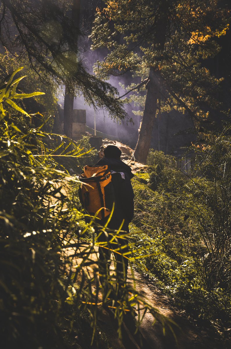 himalayanraven's tweet photo. Kasol, Himachal Pradesh.
.
Also check out my new travel video-
https://t.co/0O5wrSMLmf
Blog - https://t.co/Nfcwngn1mh
.
#ThePhotoHour #travel #travelphotography #travelblogger #trekking #woods  #Himalayas #nature #naturelovers #HimachalPradesh https://t.co/U8DLVd4Mz3