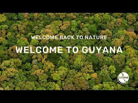 When it is safe to travel again, we'll be here waiting for you, waiting to say:  Welcome back to nature. Welcome to Guyana!When this is all over, we will be here waiting for you. Enjoy <a href="/discoverguyana/">Discover Guyana</a>'s video of the month! buff.ly/2YgWW8B #TravelTomorrow #DiscoverGuyana