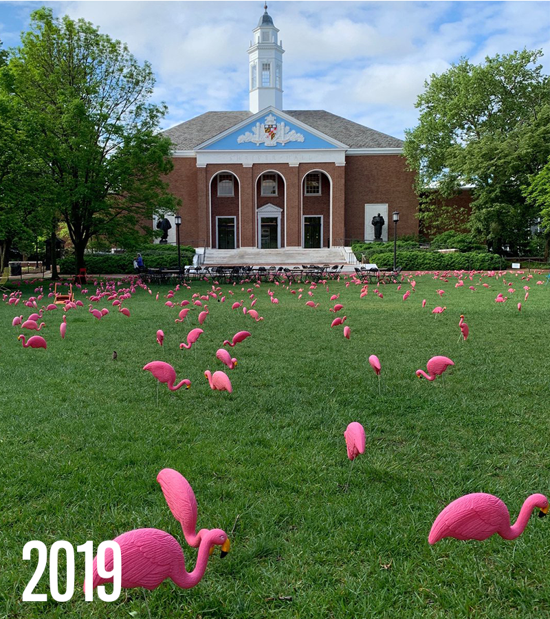 When you didn't get the memo that large group gatherings are still canceled. 🦩