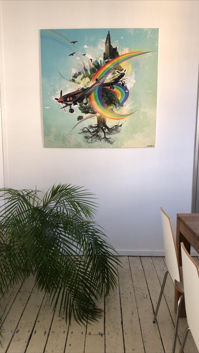 isWebdesign_com's tweet image. Les plantes d'IS Webdesign : les vraies warriors du confinement ! 52 jours sans eau et toujours au top. 🍃

#webagency #digitalmarketing #webdesign #metz #plants