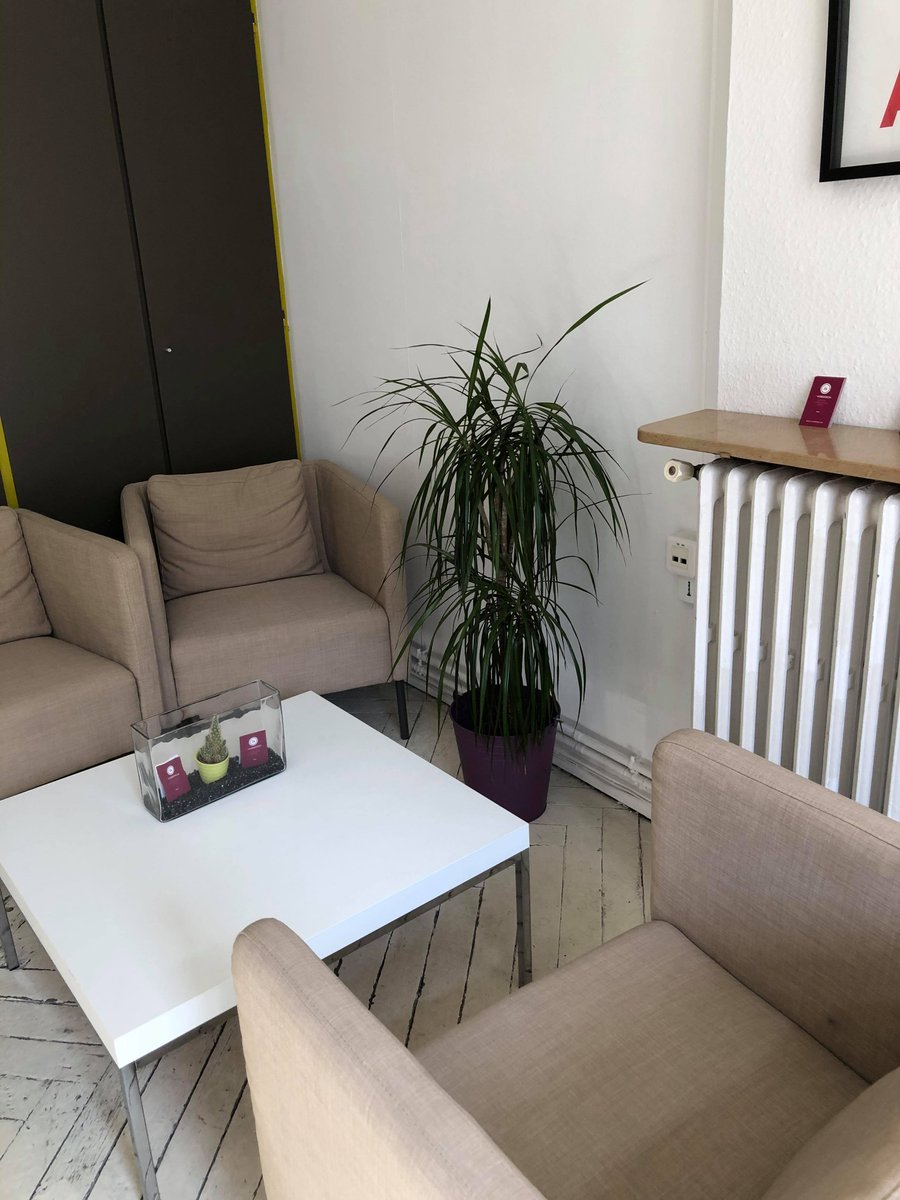 isWebdesign_com's tweet image. Les plantes d'IS Webdesign : les vraies warriors du confinement ! 52 jours sans eau et toujours au top. 🍃

#webagency #digitalmarketing #webdesign #metz #plants