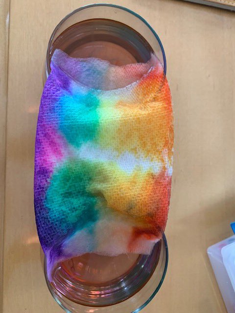 Jenn323128's tweet photo. Second graders spreading some sunshine with their homemade rainbows!  @LillianDriveSch #hazletproud https://t.co/Lk5zALiPDS