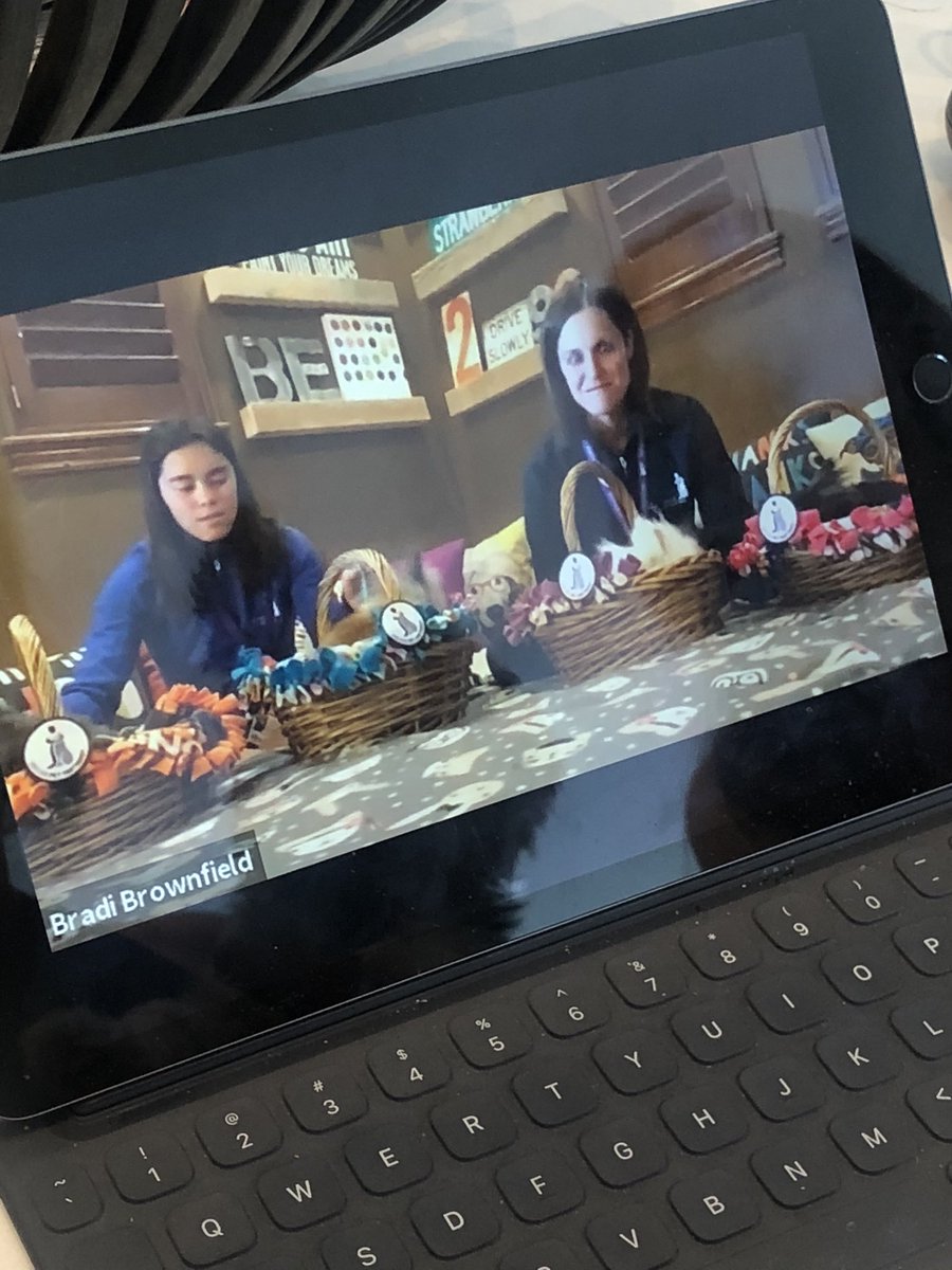 kimberlyanngeo's tweet photo. These @DenPetPartners bunnies and their handlers visit @CraigHospital for patient therapy sessions. Craig is a centers of excellence hospital for spinal cord and brain injury and used frequently in #workerscomp. Wellness ZENter #RIMS2020 #virtualRIMS https://t.co/swn9BdhmOx