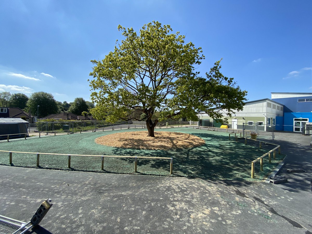 cc_golfscapes's tweet photo. Nice landscaping job finished today with a ring of wild flower around play bark then lawn seed  #hydroseeded fencing installed by @wrenfencing https://t.co/keAs2D35LM