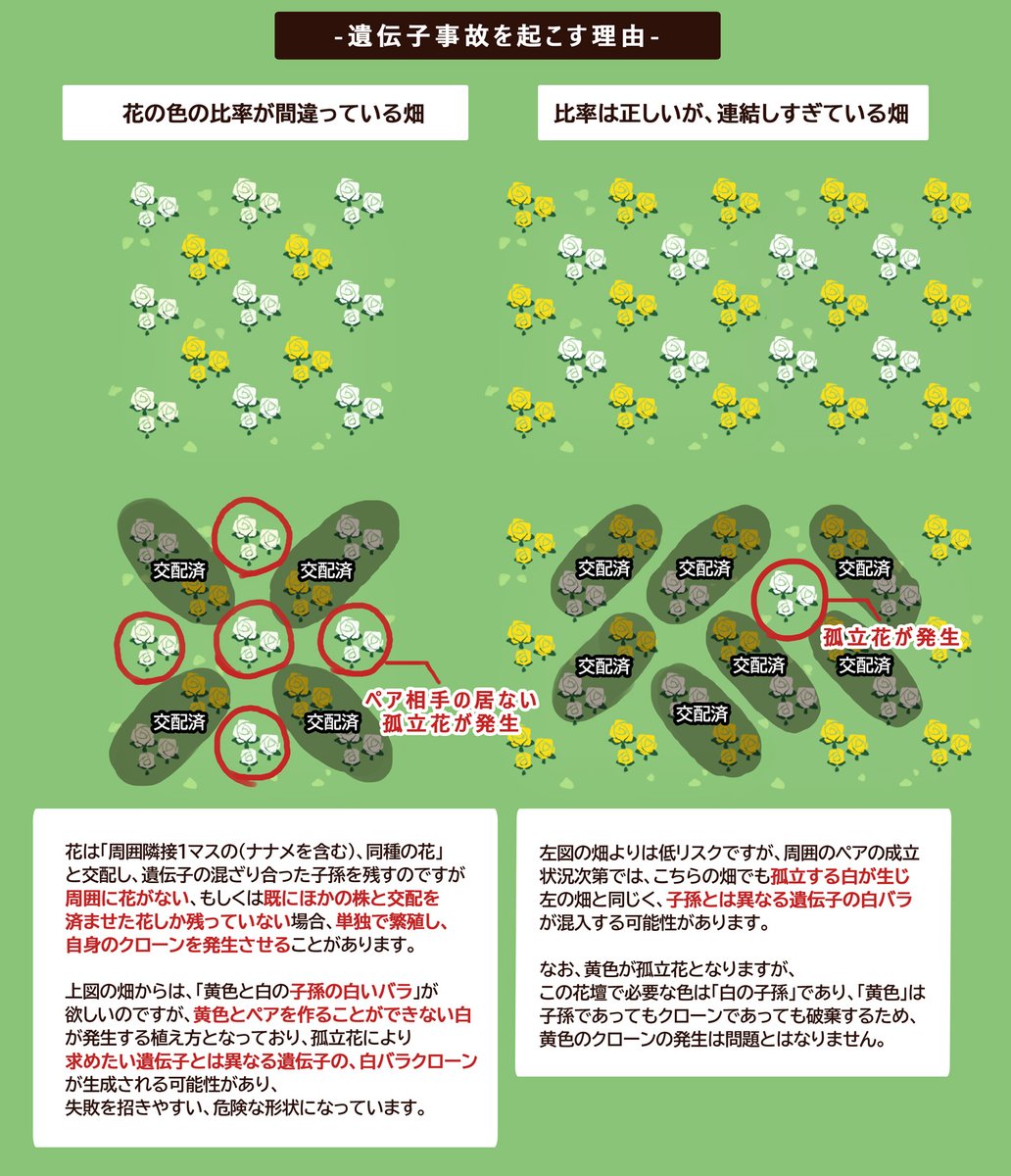 Waibi わいびー あおいバラ 交配ルート 確率重視ルートを作成しました ついでに4月27日にツイートした おすすめルートと従来ルートの改定も行いました 確率重視ルートは いたち Kiiroi Itachi さん考案のルートを参考に作成しました