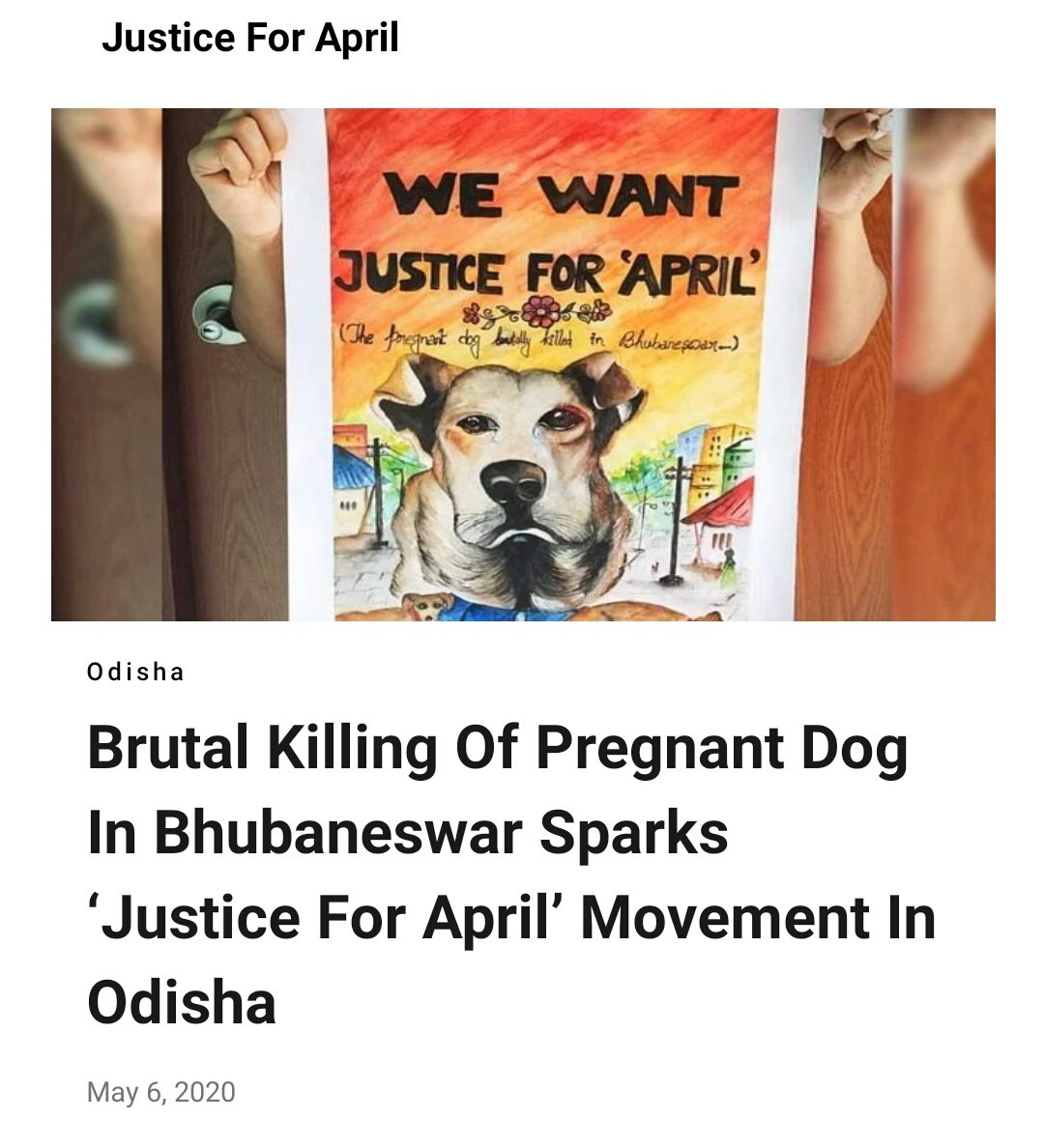 Prabhak15745871's tweet photo. #JusticeForApril
# JUSTICE FOR APRIL 
THE PREGNANT DOG BRUTALLY KILLED IN BHUBANESWAR BY A WOMEN. 
 RISE THE VOICE FOR JUSTICE 
@CMO_Odisha
@odisha_police https://t.co/MHFK5XhHNv