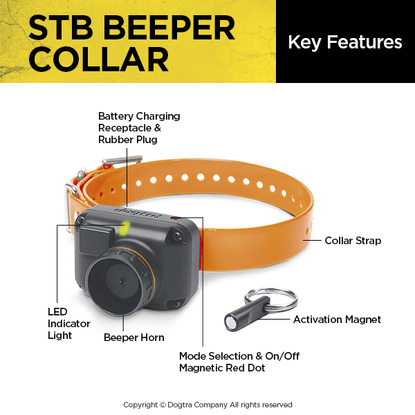Zinger_Winger's tweet photo. Now available on https://t.co/YtZybDECYh #Dogtra #STBbeepercollar #ZingerWinger https://t.co/9UamxeHQBQ