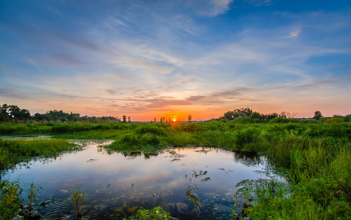 Located about 60 miles east of Orlando, Merritt Island National Wildlife Refuge is a treasure trove of #Florida's wildlife &amp; beauty. Pic by Jose Torres (sharetheexperience.org)