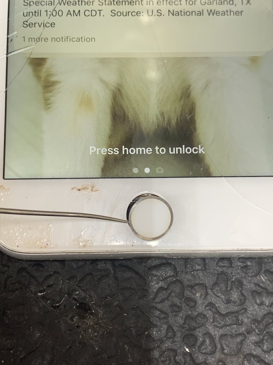 iphonerepair15's tweet photo. iPhone home button repair near garland #fixiphone #iphone #repair https://t.co/OJH3xc3yBa https://t.co/27MQevra2g