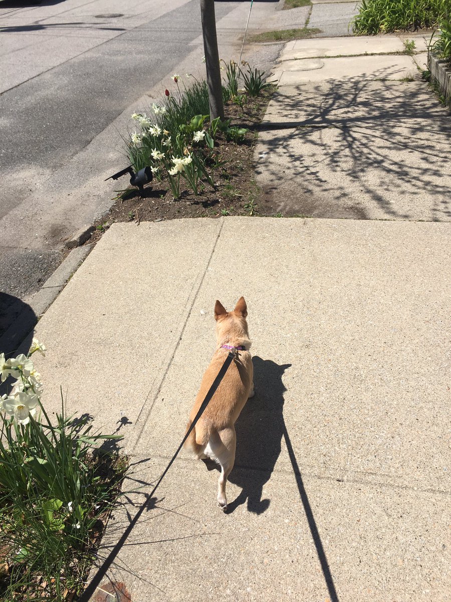 MrsAshRI's tweet photo. #EPwellnesswednesday A cooking lesson, Zumba with Mrs. Penha, a nice walk and of course sitting outside and reading! https://t.co/8kNOBZNai6