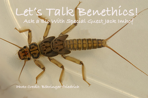 TUCanada1's tweet photo. On May 1st, TUC had the opportunity to interview Jack Imhof, our retired National Biologist and Director of Conservation Ecology to talk about aquatic invertebrates (benthics). https://t.co/dZ0i0EgdUO #ecology #benthics #inverterbrates #askabio #biology #education #bugs https://t.co/WE9jkPDakp