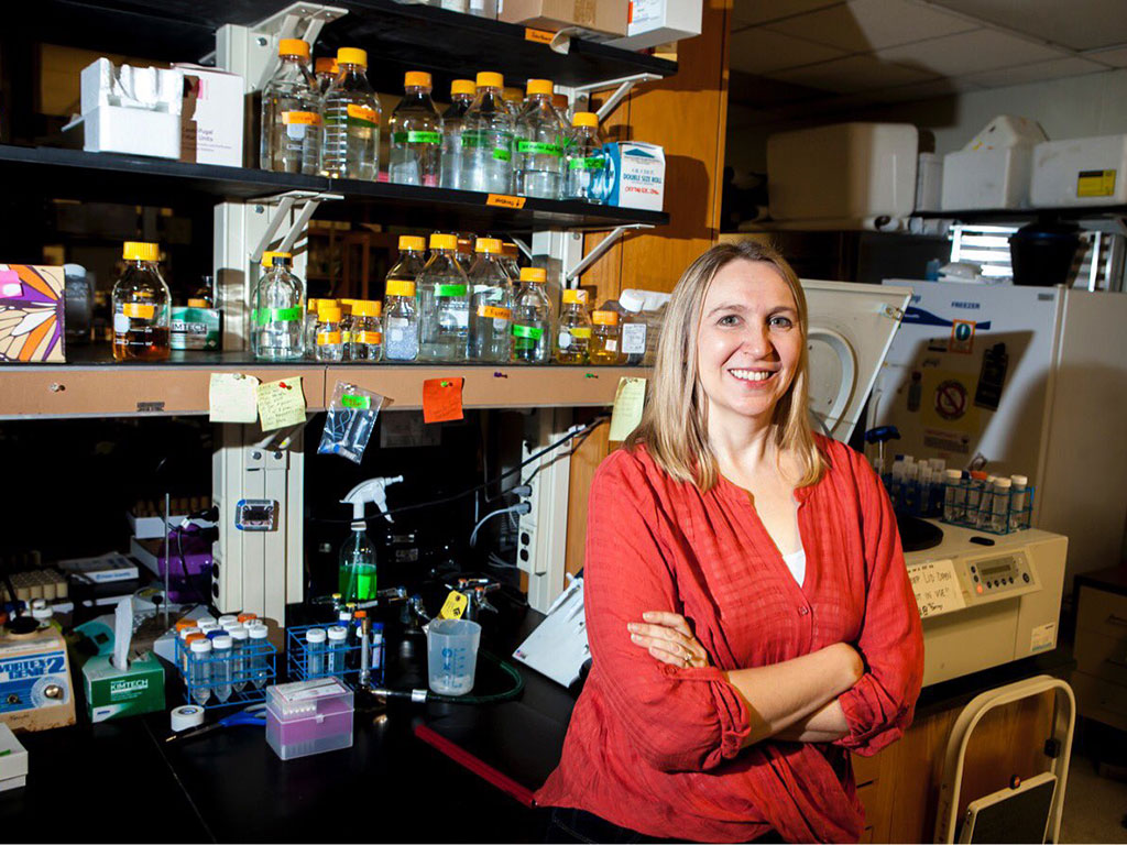 UMich Ecology and Evolutionary Biology tweet media