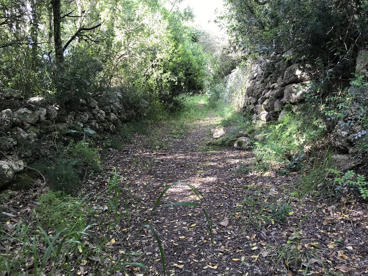 xiscoroig's tweet photo. Es Migjorn Gran #Menorca està deixant perdre el camí públic de Migjorn a #Ferreries cc @MiquelTruyol @SlowLifeMenorca @CaminsFerreries @AmicsKane @xavicardona76 https://t.co/4wr4iUJiqn