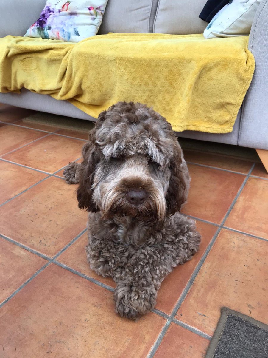 Neil Quinn tweet media