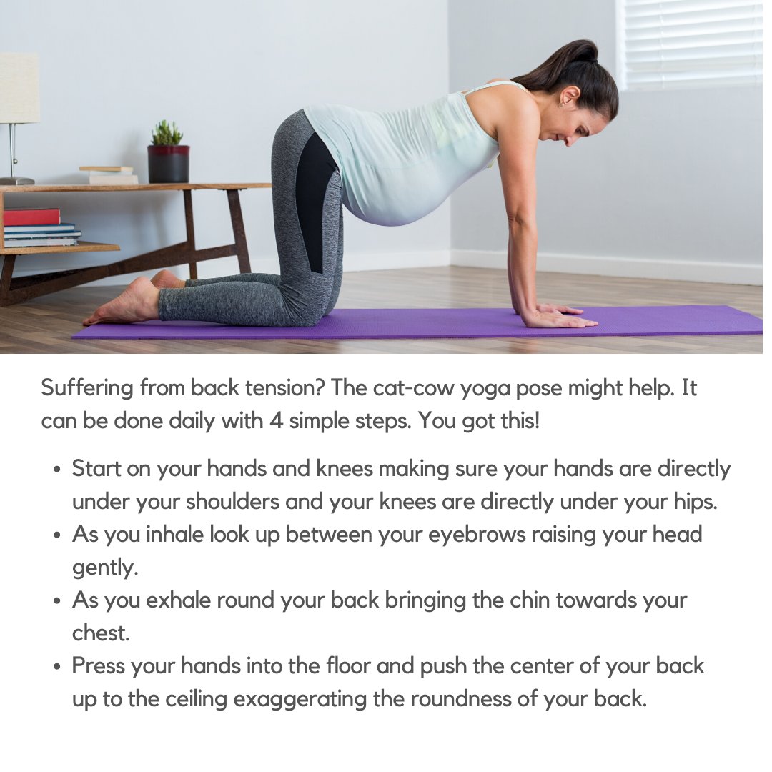 eatforpregnancy's tweet photo. Yoga rocks! Especially to relieve back pain.
#eatingforpregnancy #health #nutrition #food #recipes #pregnancy #moms #momstobe #cooking #advice #quotes #yoga #backpain #tipsforpregnancy https://t.co/V3gtwJ45Fd