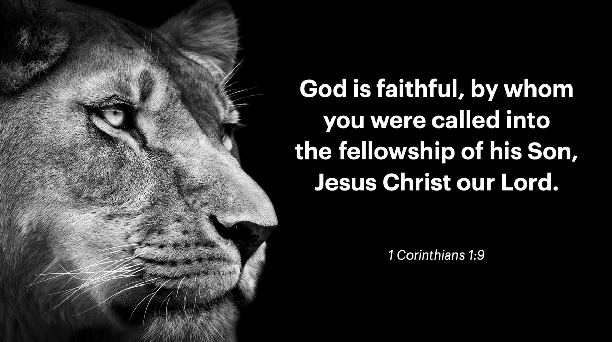 cothmesquite's tweet photo. The fellowship of Jesus - https://t.co/ukWQBDayyM https://t.co/SjjaDuJ5O5
