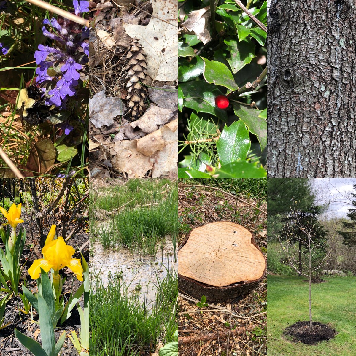 jendunay's tweet photo. Nature and I are best friends. Can you believe I canβt spot a squirrel!? #Naturescavengerhunt #EPWellnessWednesday @AlissaChamber14 https://t.co/x9gClDwWQd