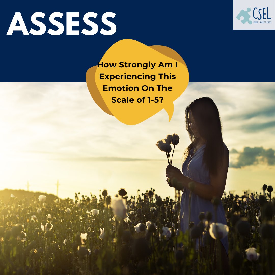 Ask yourself, how strongly are you experiencing this emotion?
#csel #socialemotinallearning #acceptyouremotions #SEL #socialemotionalskills #socialemotionaldevelopment #selfcare #sel4india #Center4SEL