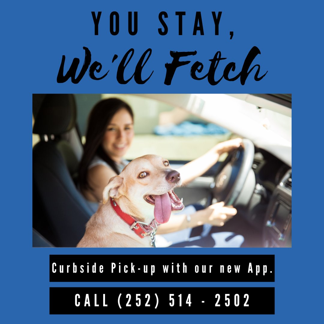 dog boarding new bern nc