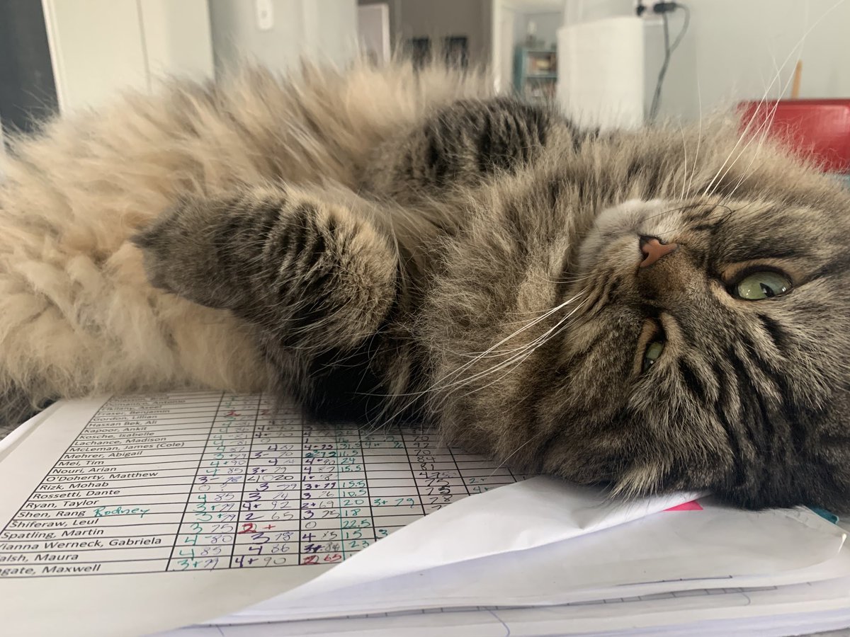 ScholfieldsArts's tweet photo. #ocsbPhotoChallenge #ocsbArtsMonth 
Things I love that keep me sane while adrift in a sea of marking! https://t.co/4iQ0dSU2US