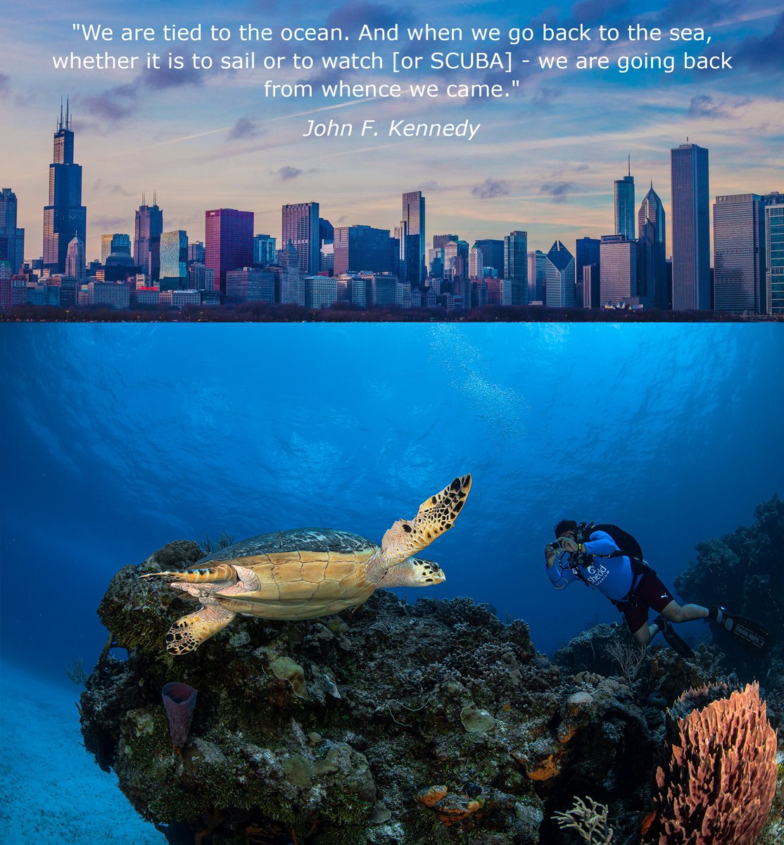 ScubaSensations's tweet photo. I feel the ocean calling, or the lake or quarry or puddle in the alley.

Chicago Skyline Photo Credit: Center Coast Realty https://t.co/lRFNWWeqov